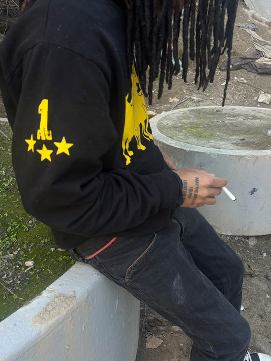 Horse hoodie