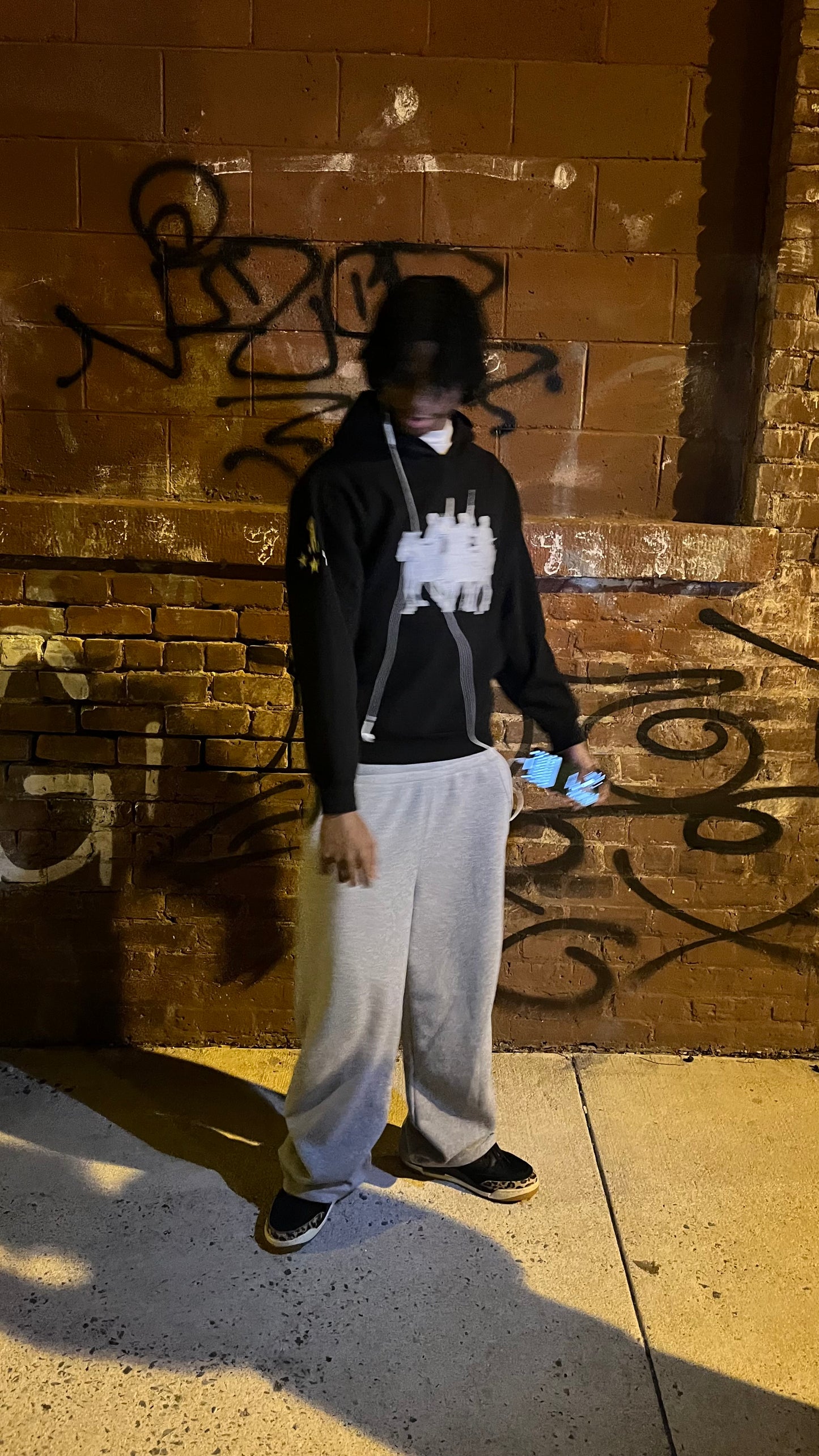 Silver horse hoodie
